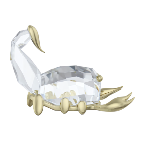 Resim Zodiac Akrep